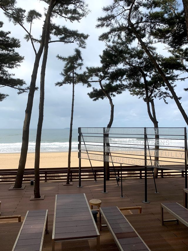 오션뷰 호텔 추천💙 아일랜드 리솜