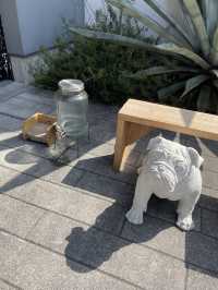 【paw’s living】