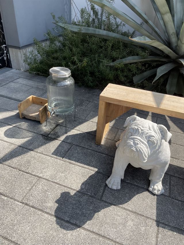 【paw’s living】