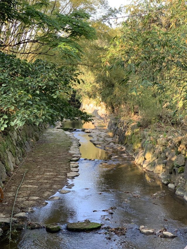 安泰街後山慢跑趣｜漆彈主題樂園上、內溝溪下