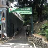 九龍市中心嘅行山徑