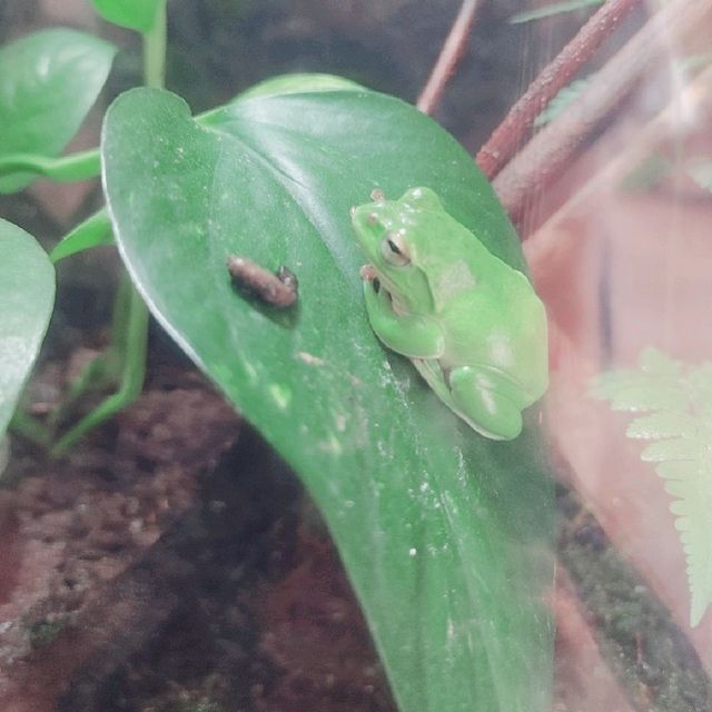 京都市動物園　京都の森