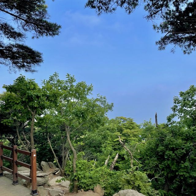[등산 초보도 완등 가능 ] 서울 등산하기 좋은 산 추천  청계산 
