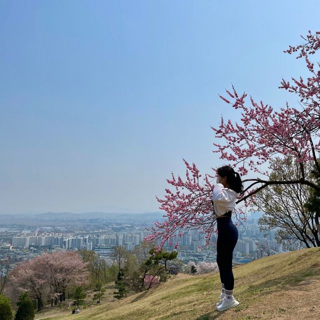 오를수록 보이는 풍경이 너무 예쁜 인천 <계양산>