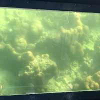 海下灣海洋生物中心
