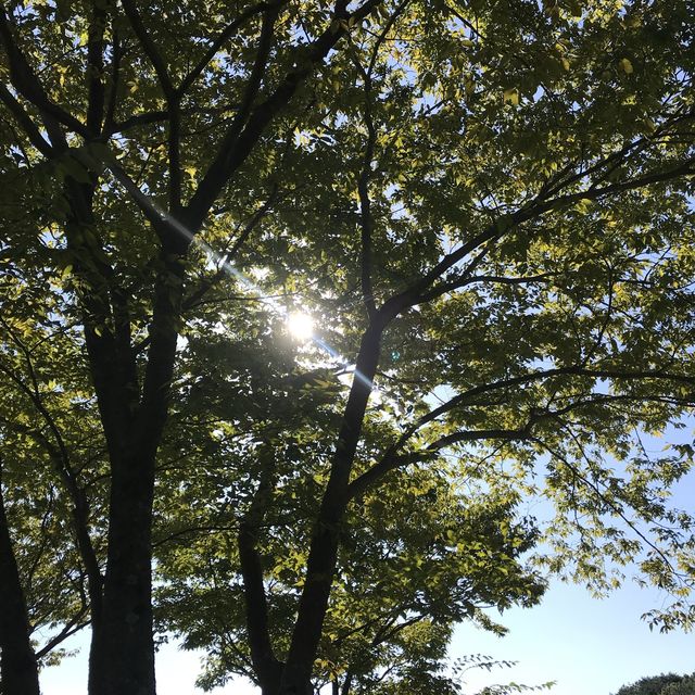 [부산]피크닉과 캠프닉이 가능한 부산의 숨은 정원❣️