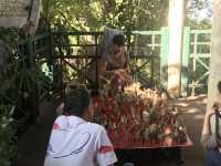 Mesmerizing Day tour at Doi Suthep Pui