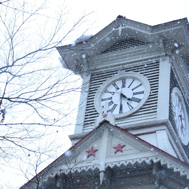 【北海道 小樽】日本大閘蟹吃到飽！🦀️