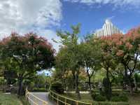 賞花攻略🌺九龍寨城公園花海