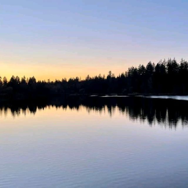 Lost Lagoon No Longer. 