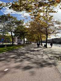 Romance of Rotterdam