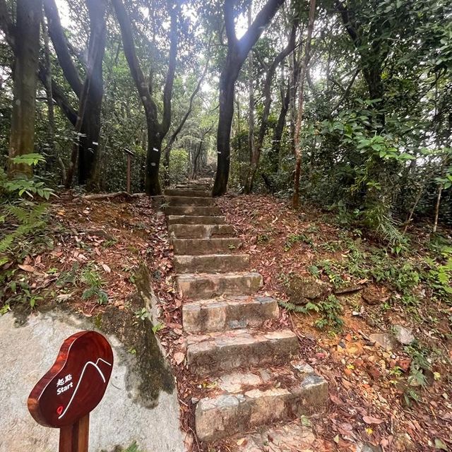 三山勁走✌️✌️✌️💪💪柏架山，畢拿山，渣甸山