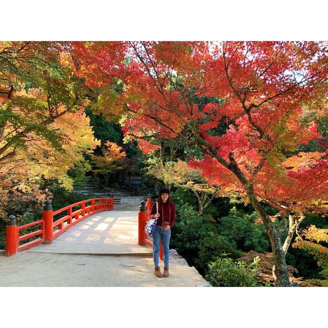Autumn 2019 in Hiroshima, Japan!