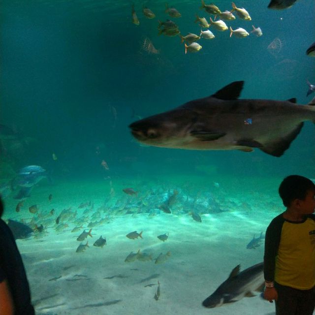 暹粒水族館及動物園