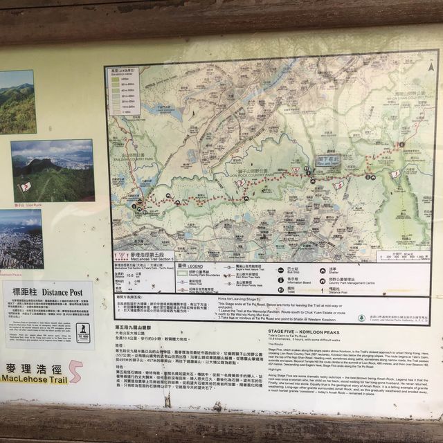 Lion Rock 🦁 🪨 - Landmark hiking spot