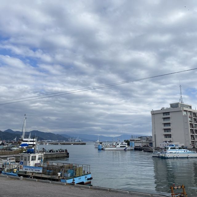 一望無際的清水港