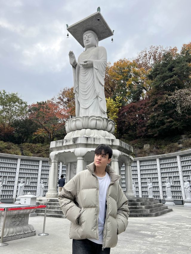 Buddhist Temple in the City 