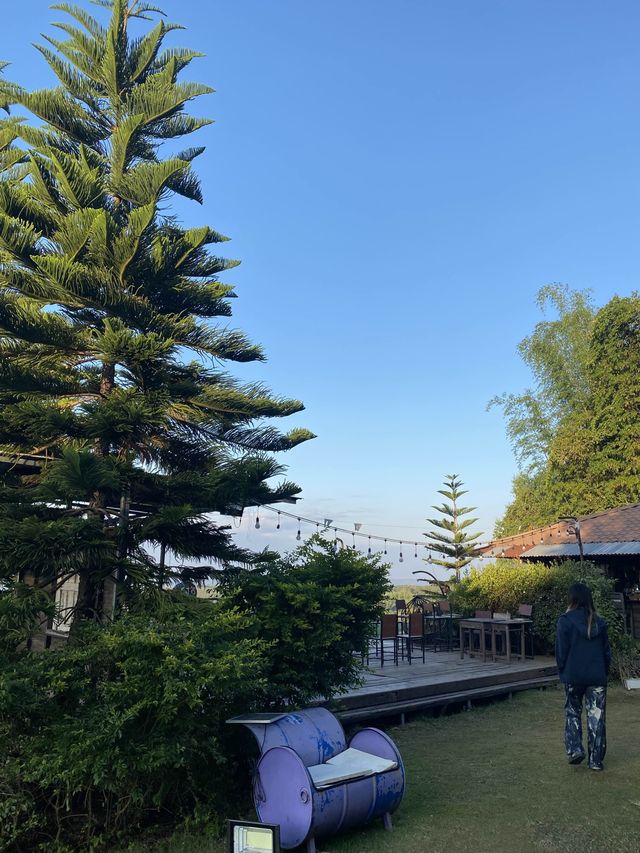 ภูผาหมอก@byขุนแวะ 🏕️🏕️ 