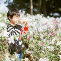 荔枝角公園｜日系風格攝影分享