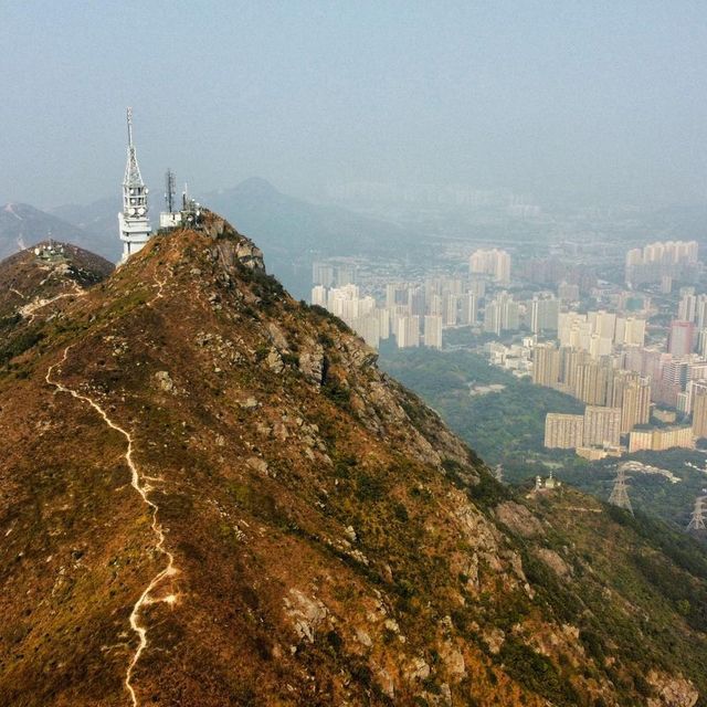 青山