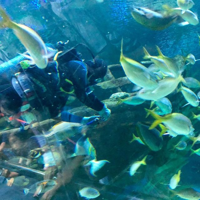 Aquaria 吉隆坡水族館
