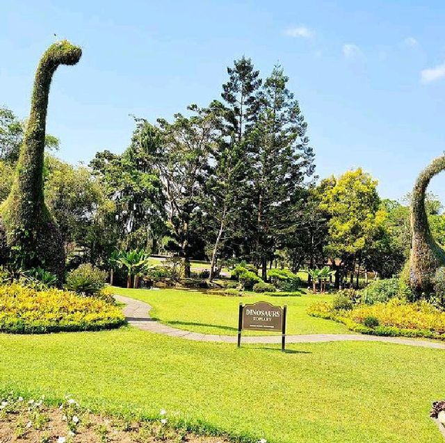 ARCHIPELAGO FLOWER GARDEN, CIANJUR