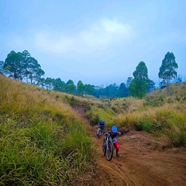 Lincing Hill Arjuno Mountain