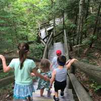 Lost River Gorge and Boulder Caves