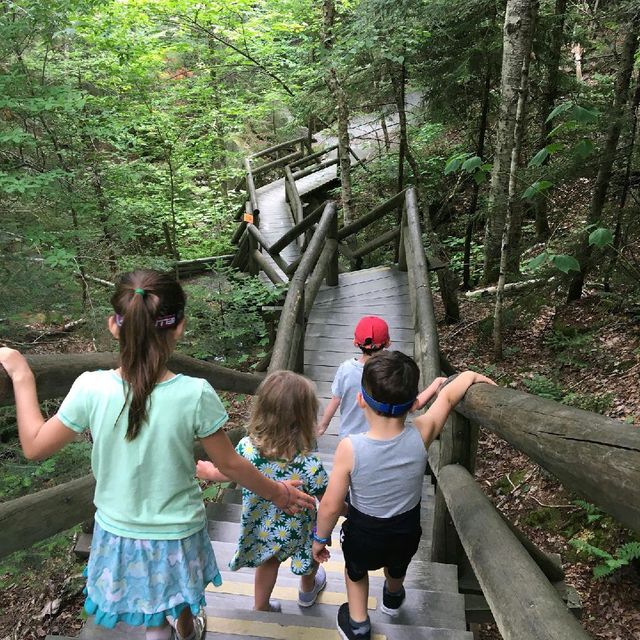 Lost River Gorge and Boulder Caves