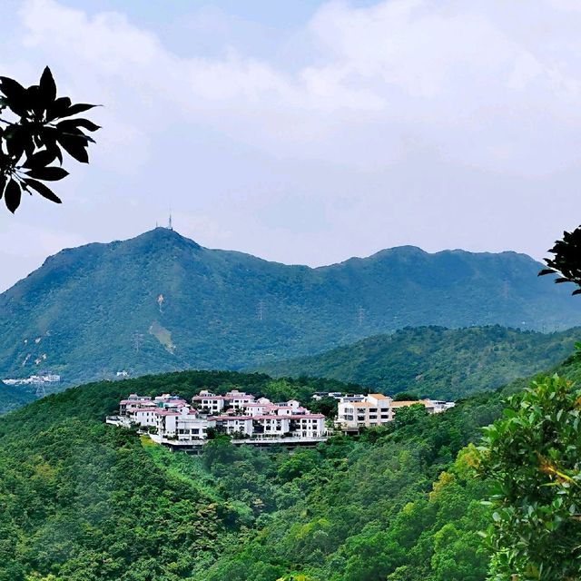 尖削如錐的鷓鴣山