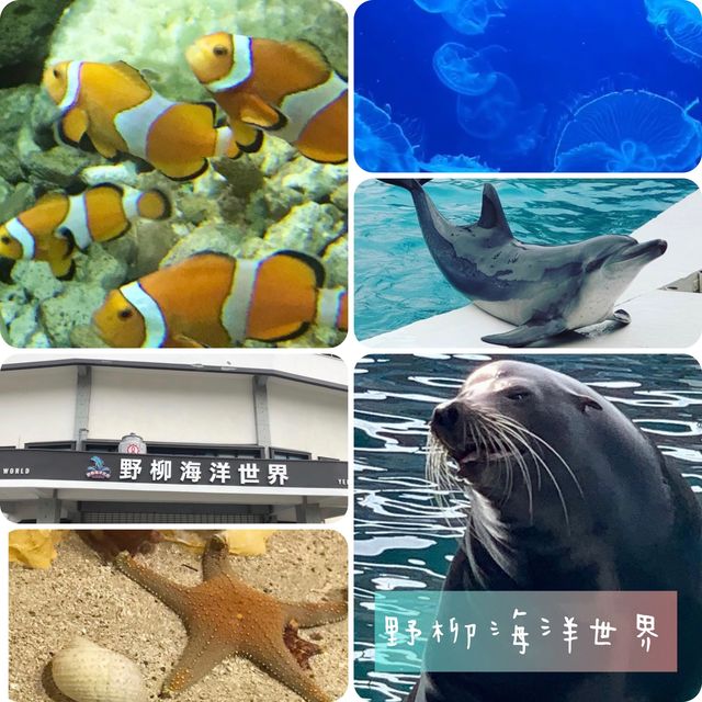野柳海洋世界💕小朋友放電必選