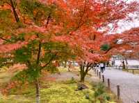 京都[紅葉めぐり]  南禅寺　三門の紅葉が絶景❗️