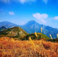 三山連走－觀音山、羌山、靈會山