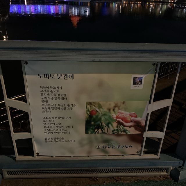 [🇰🇷, 창원] 야경 맛집이자 산책하기 좋은, 창원 용지호수 🌃