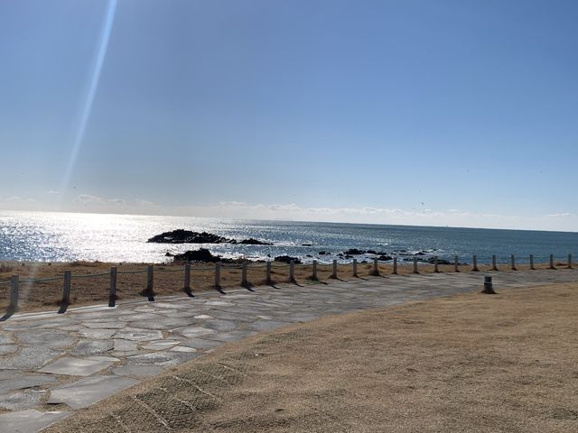 [🇰🇷, 부산] 기장의 오시리아 해안산책로 🌊