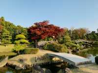 花田苑の紅葉