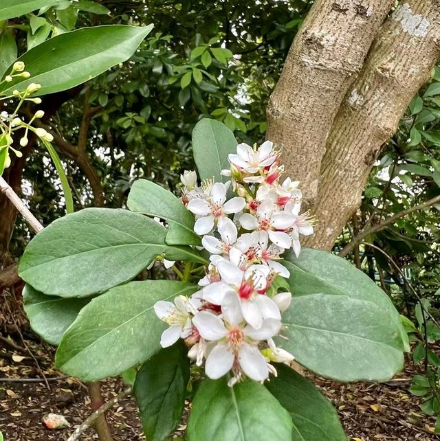 小西灣居民行山好去處