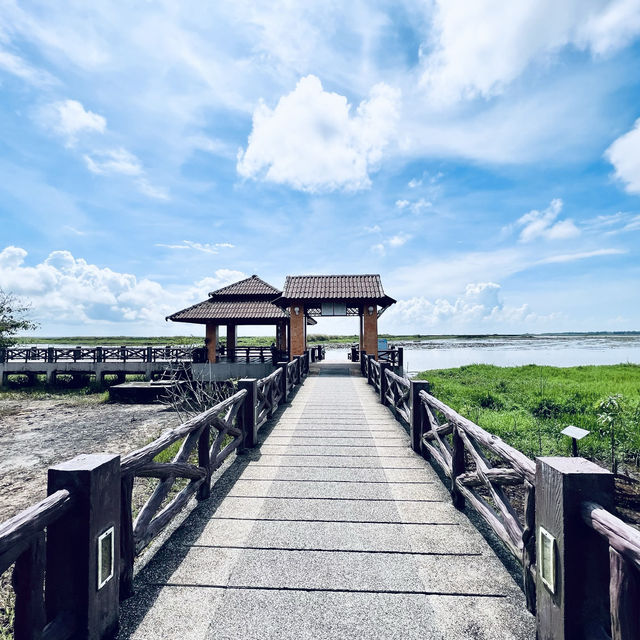 ศูนย์ศึกษาธรรมชาติ และสัตว์ป่าทะเลน้อย
