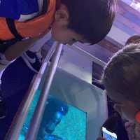 體驗不一樣的水族館 | 曼谷旅行