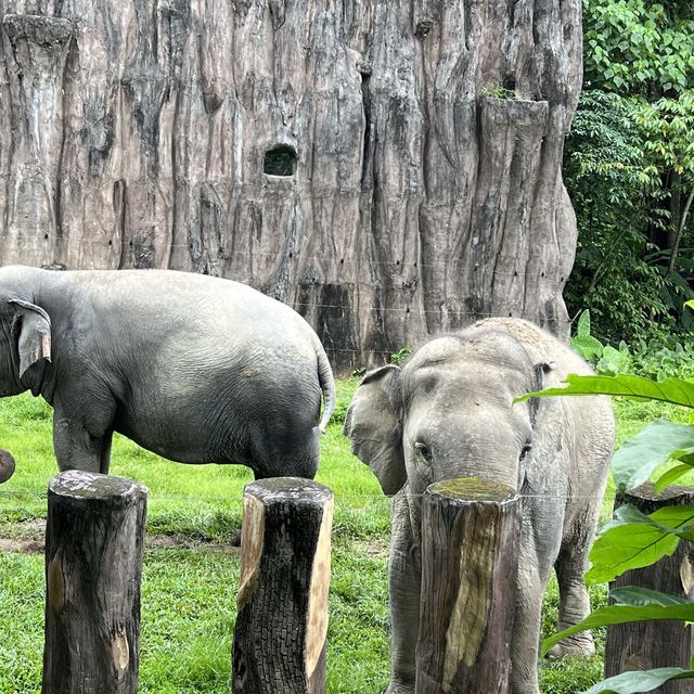 Malaysia National Zoo