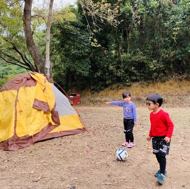 港版嵐山竹林之道