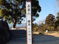 超夢幻油菜花田｜日本神奈川縣🤩🤩