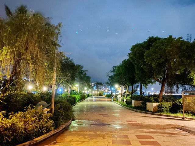 夜遊海豚廣場