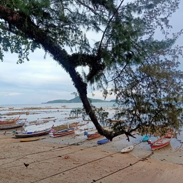 ชมวิวหาดราไวย์