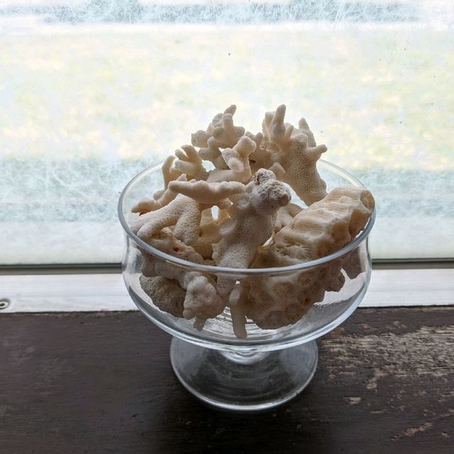 与那国空港のレストランでカジキの漬け丼
