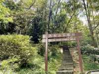新手級行山路線