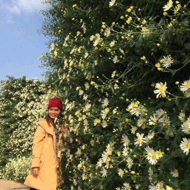 Flower Valley Tay Ho