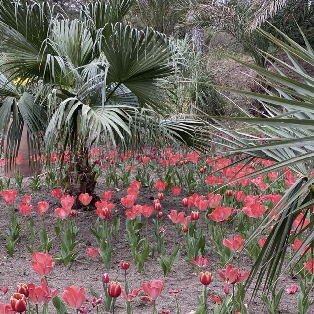 제주여행 필수 한림공원!🌷🌹
