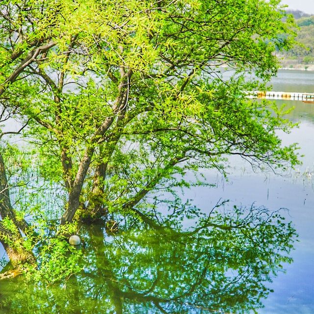 Sinjeongho Lake