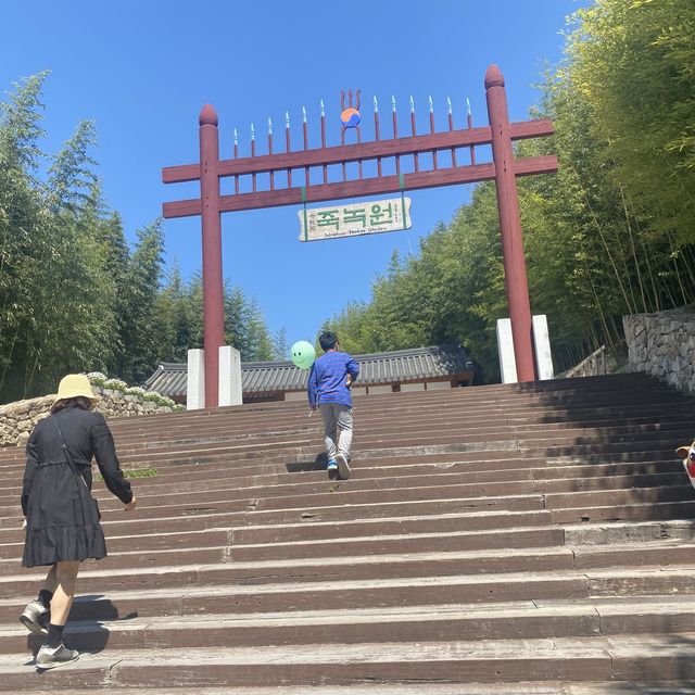 담양 죽녹원 대나무 숲길을 걸어보아요🎋